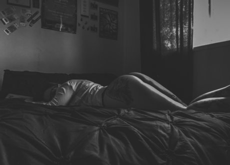 Mod Monarchx model picture