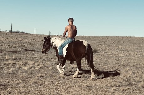 Tommy Rex star nice pic