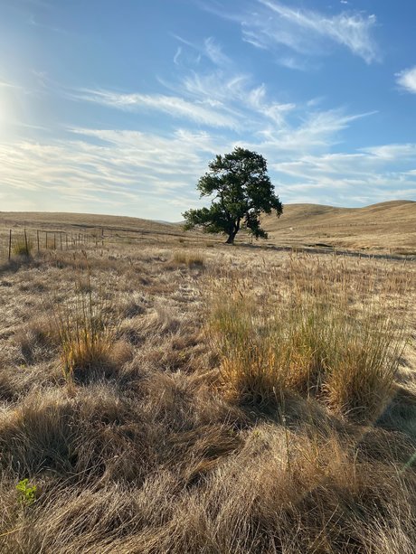 Jerrad greenick model beautiful pictures