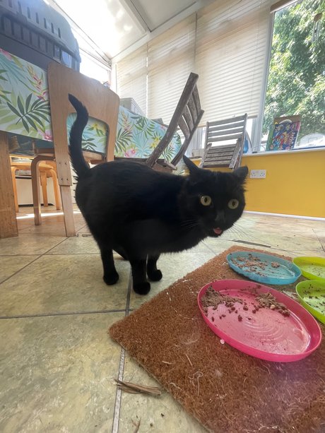 Marquis J beautiful actress photos