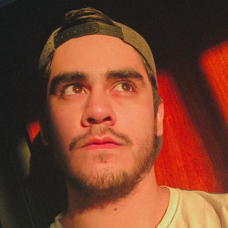 Raccoon_ star art img