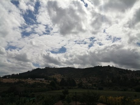 Pando hot pornstar images