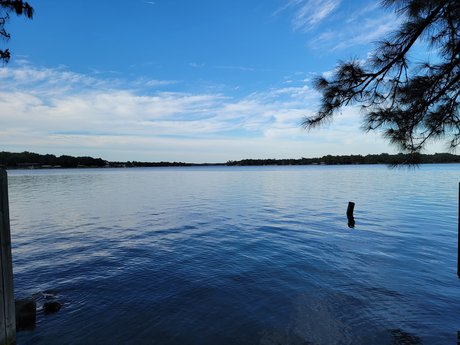 TazDevil69 sex actress pics