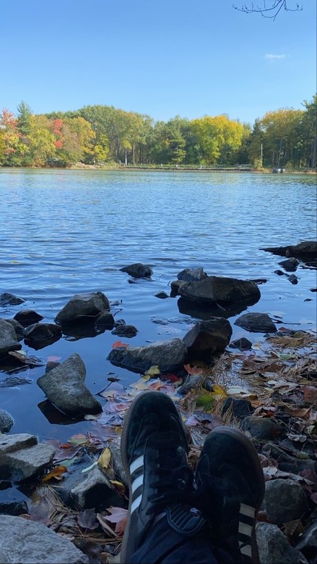 Ava Monroe xxx star archive