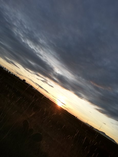 Carlos Daniel S nchez Estrada exclusive actress images