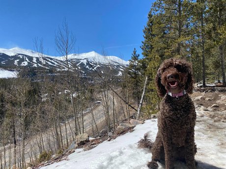 Bumper Ann nudes model img