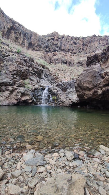 MTS model top photos