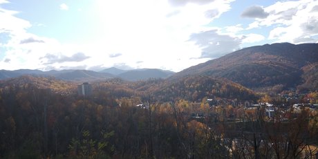 Gill perfect actress archive