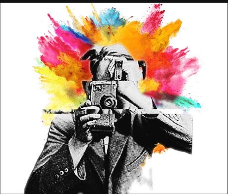 Rooster_ free star galleries