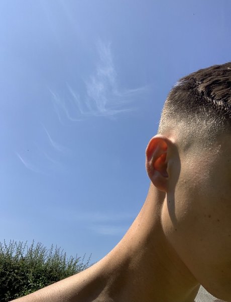 Tyler Rose model pic