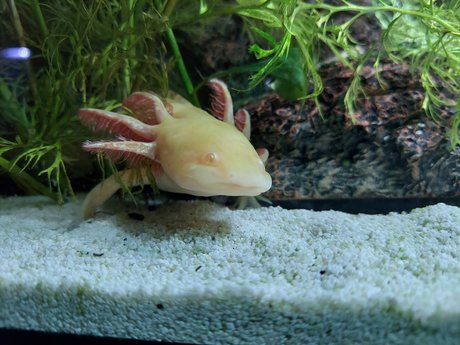 OnlyFishFans hot actress pic