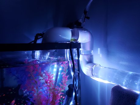 OnlyFishFans nudes star photo