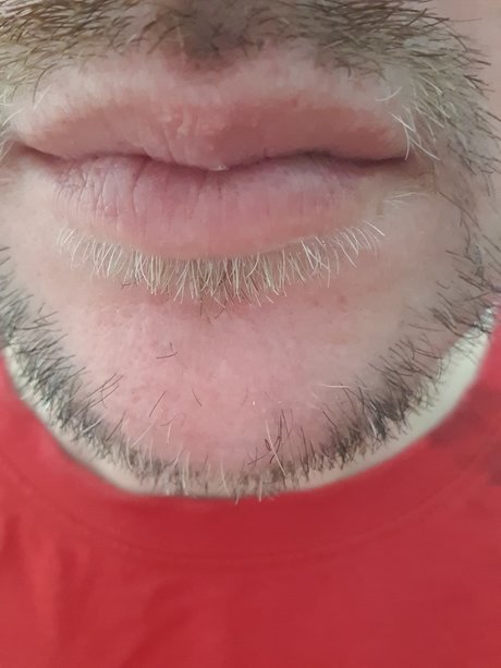 Nicolas C spedes pretty actress img