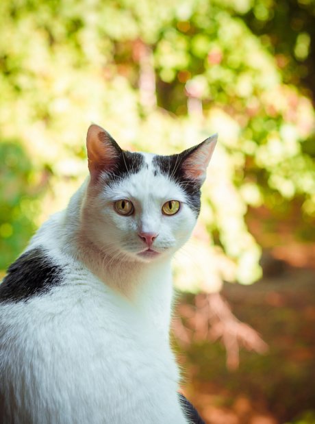 bbc shower onlyfans hot nude image