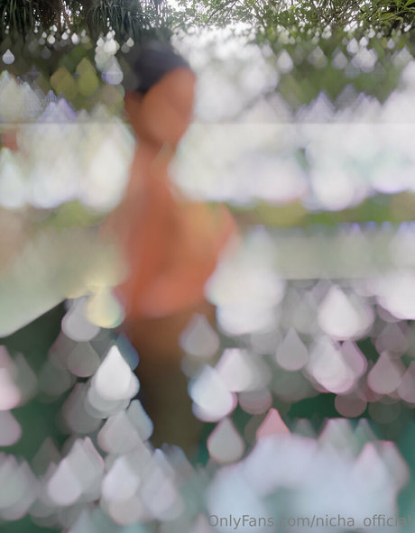 nicha official naked star archive