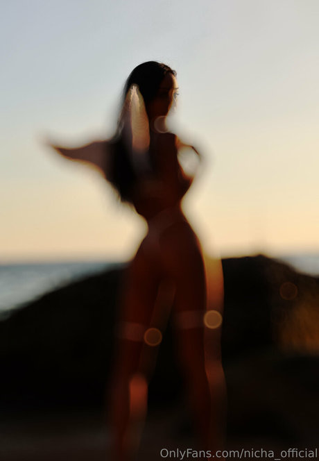 nicha official top actress picture