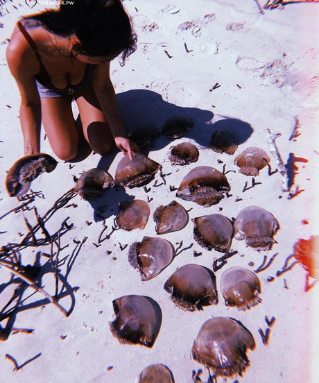 Clare Temerowski sexy model photo