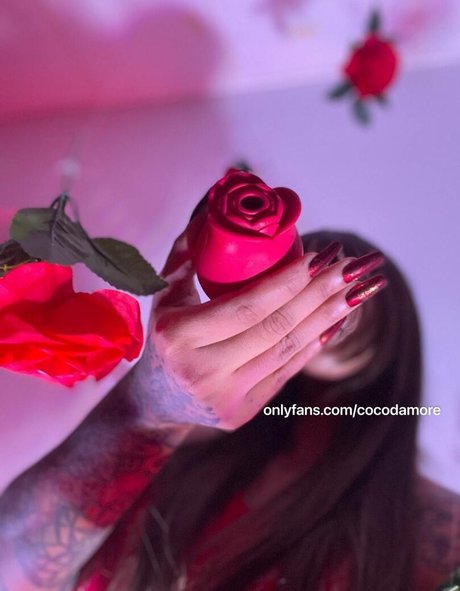 lightskin onlyfans beautiful porn pictures