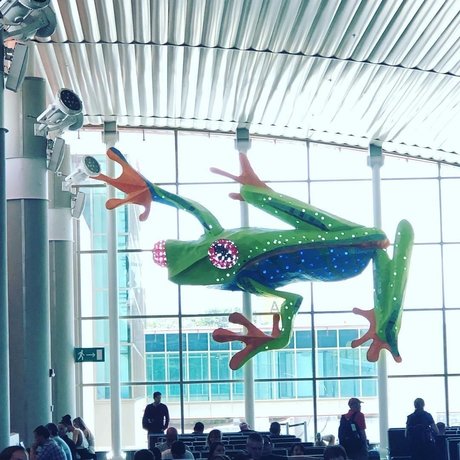 anime onlyfans xxx pictures