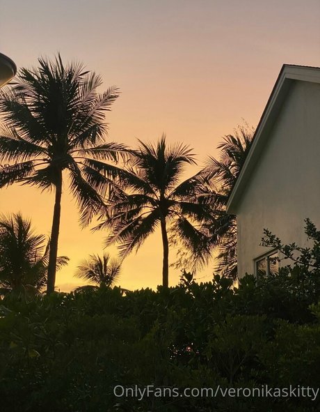 vitamin nika star nice gallery