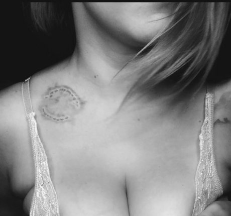 Feline Anchor hd star photos