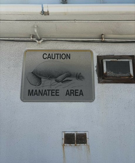 Hanna Luukkonen sexy model photo