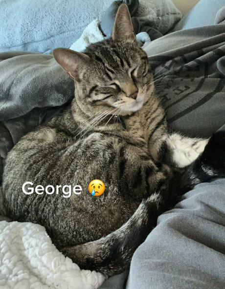 jessicabby25 xxx pornstar photos