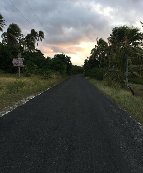 Adele tsy pornstar xxx pic