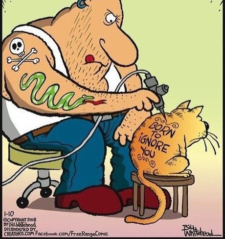 realbody001 model adult picture