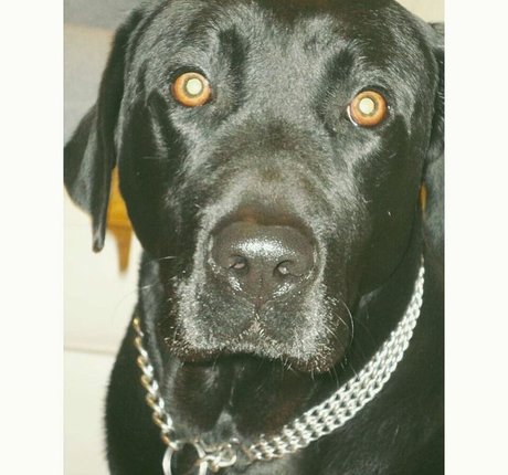 Kika art pornstar photo