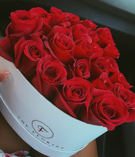 Kika pornstar sex pic