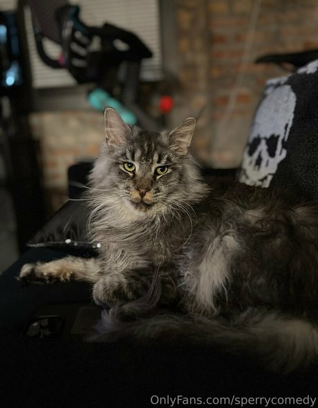 hairy pregnant onlyfans nudes img