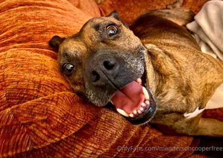 mandersoncooperfree erotic pornstar pictures