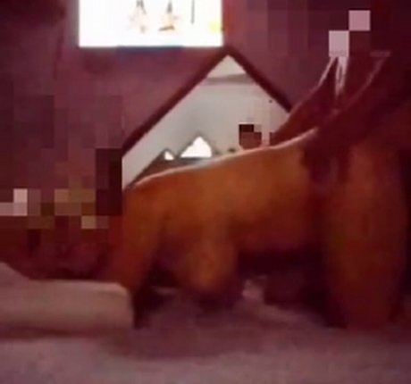 sexy black onlyfans beautiful xxx photo