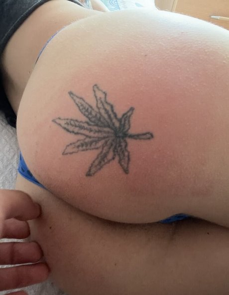 mqlll exclusive pornstar img