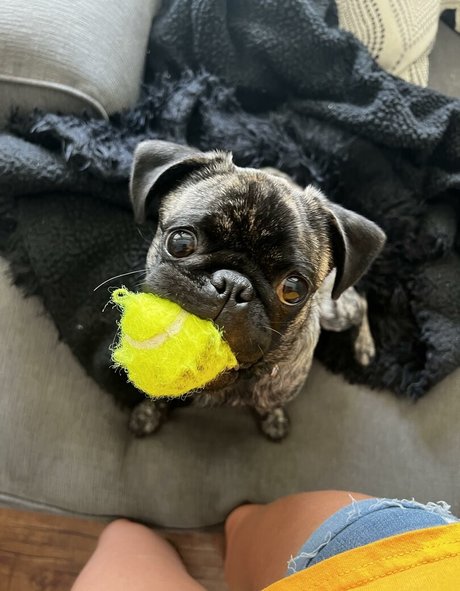 fat girls onlyfans sexy galleries