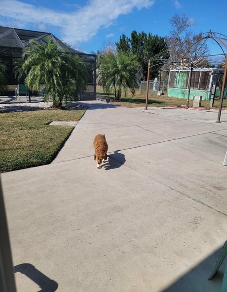 anal couple onlyfans hot xxx galleries