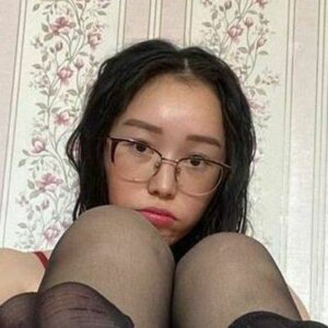 Tortoize model top pic