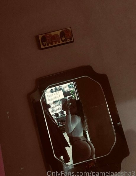 pamelasasha3 pornstar top img