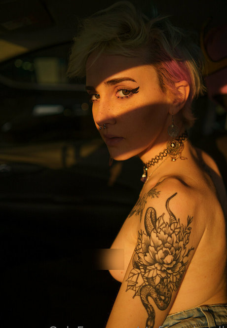 stefanogirardi star erotic galleries