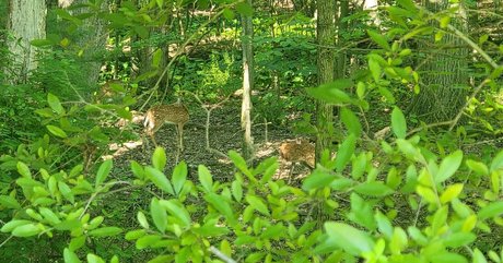 facial onlyfans nude archive