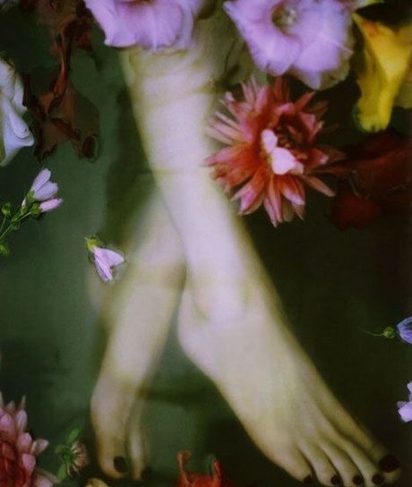 Haley Bennett pornographic actress picture