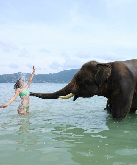 Tatiana Schwartz erotic actress archive