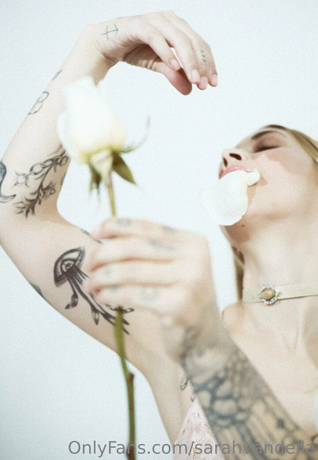 bbw anal onlyfans sexy photos