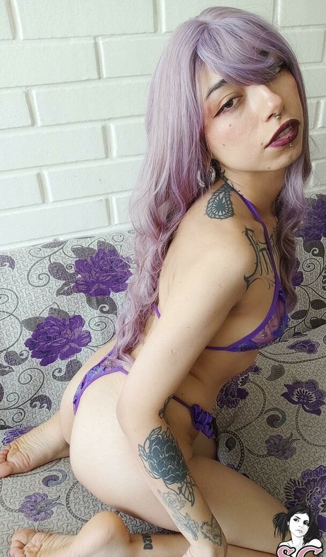 Donnacat top pornstar images