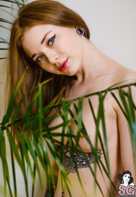 Karnelia pornstar top img