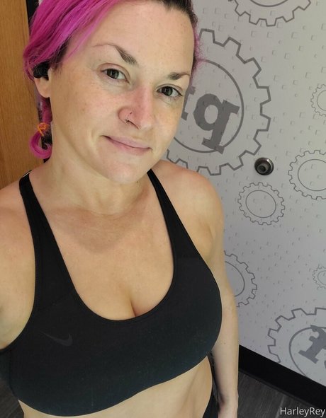 harleyrey model perfect archive