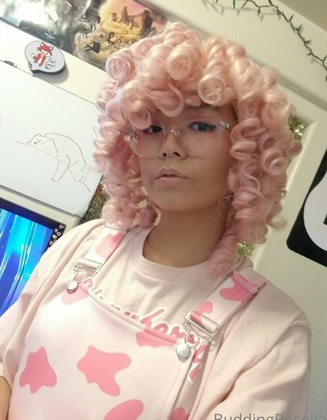 buddingroselia star nice picture