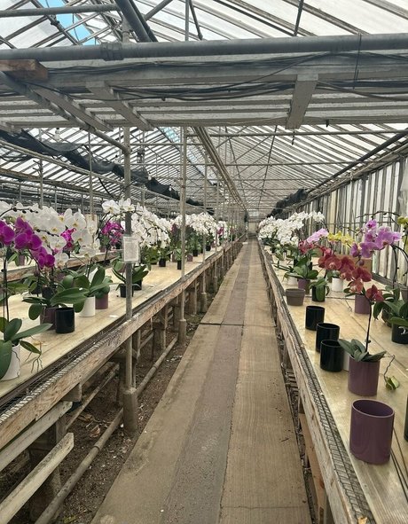 lunapowersthefairy pornstar beautiful galleries