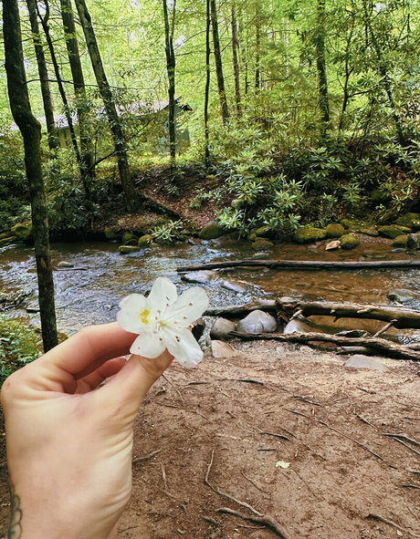 lunapowersthefairy xxx actress img